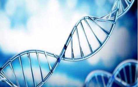 百傲2019再(zai)穫三證，進入DNA免提時代