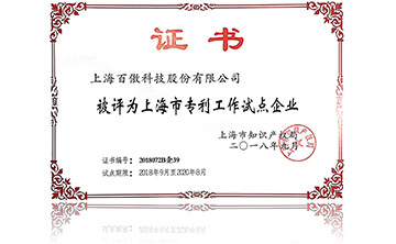 上海(hai)市專利工作(zuo)試點企業