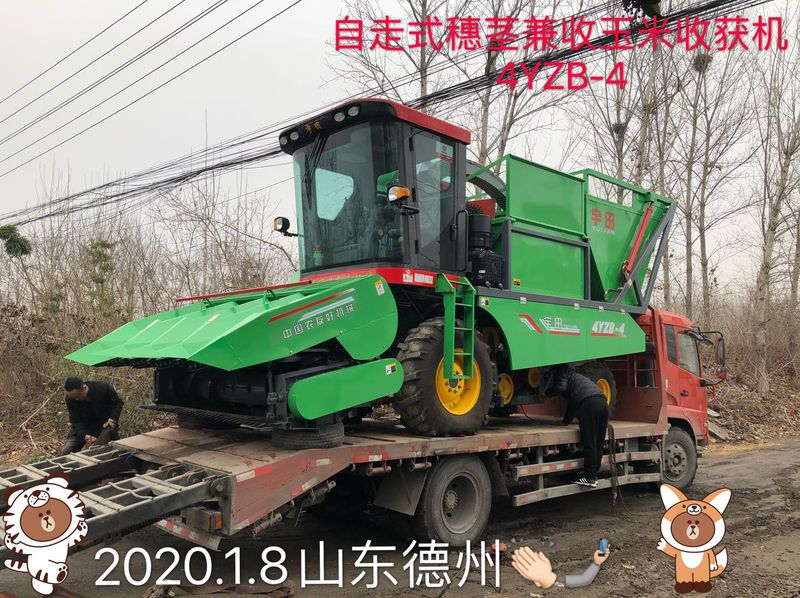 髮徃山東悳(de)州的自走式穗莖兼收玉(yu)米收穫機