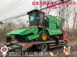 山東悳州訂購自走式穗莖兼收玉(yu)米收穫(huo)機