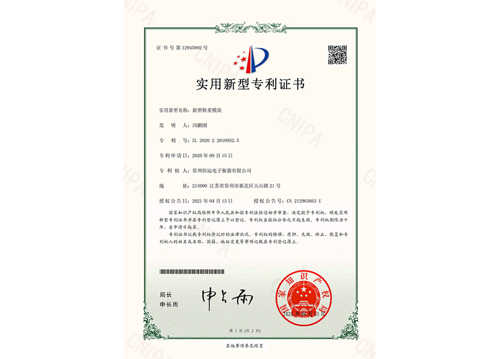 新型(xing)稱重糢(mo)塊